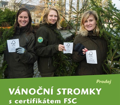 Správa KRNAP dá opět do prodeje vánoční stromky s certifikátem FSC