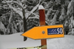 FOTO: Jilemnická padesátka přilákala znovu přes 700 lyžařů