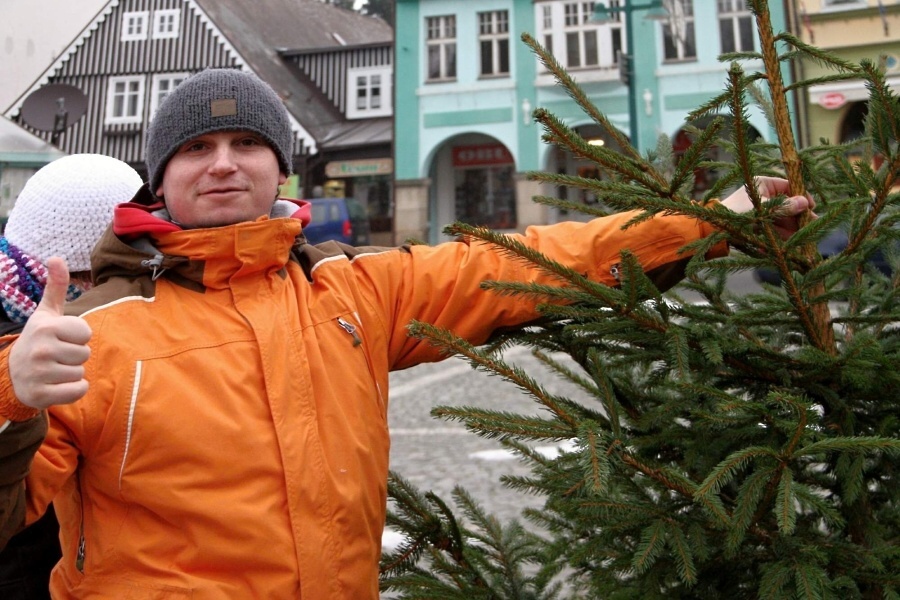 Prodej vánočních stromků z krkonošských lesů s certifikátem FSC na vrchlabském náměstí<br />Autor: Jiří Novák