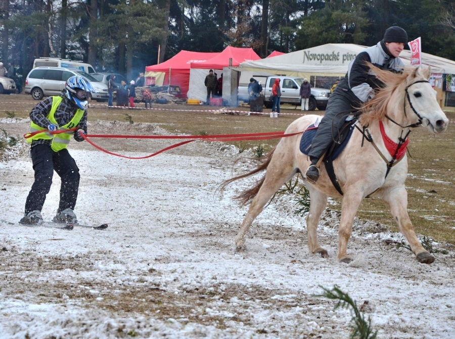 Horseskijöring aneb Koňské lyžování v Martinicích v Krkonoších 2014<br />Autor: Zdeněk Horák