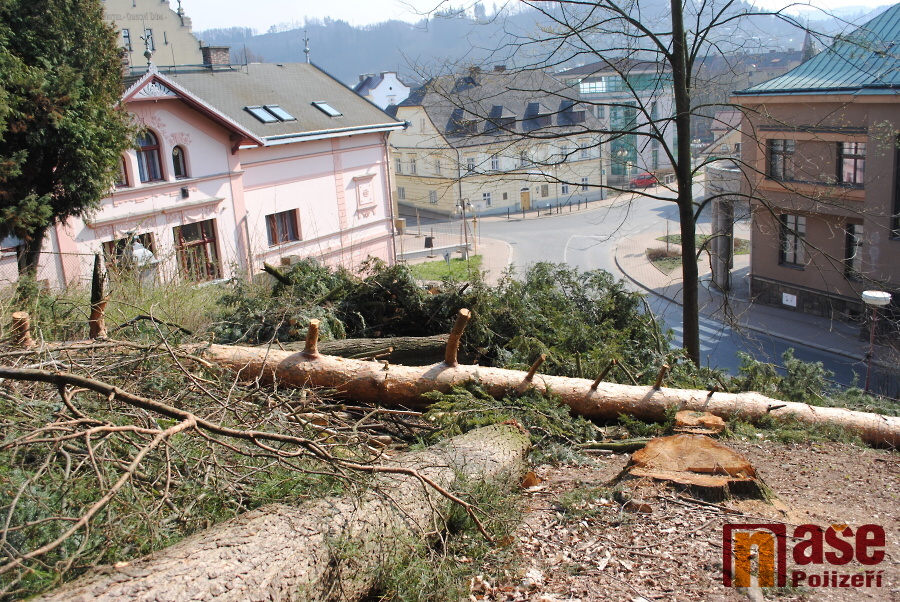 Vydatným prořezem dřevin začala obnova Palackého sadů v Semilech<br />Autor: Petr Ježek