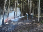Lesní požár v Jiřetíně pod Bukovou
