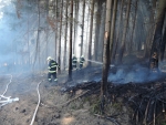 Lesní požár v Jiřetíně pod Bukovou