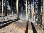 Lesní požár v Čikváskách