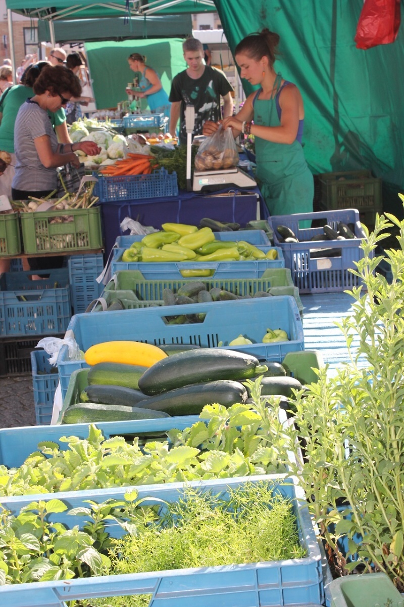 Obnovený farmářský trh v Turnově<br />Autor: Klára Preislerová