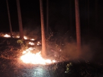 Červencový požár lesního porostu Tatobity