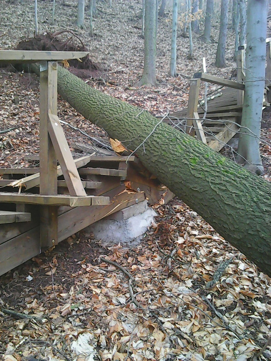 Schody do Palackého sadů v Semilech poškozené pádem stromu<br />Autor: Hana Bártová