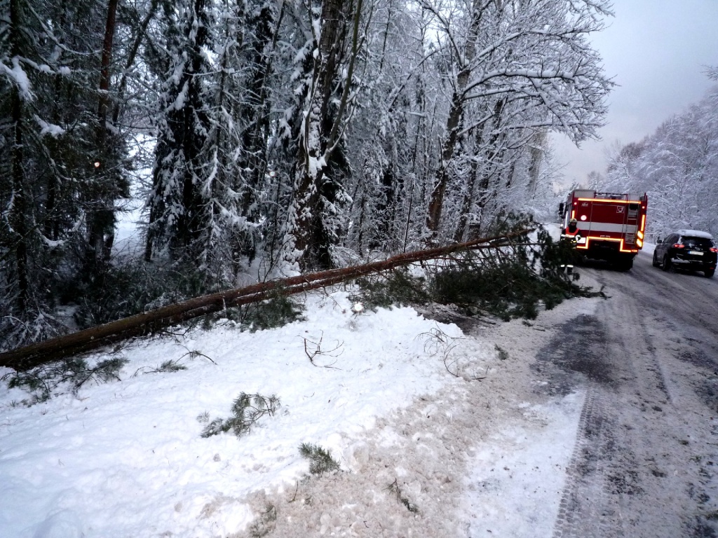 Odstraňování popadaných stromů v různých částech Libereckého kraje