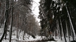 Odstraňování popadaných stromů v různých částech Libereckého kraje