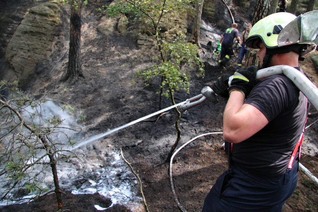 Požár lesního porostu u obce Dubá na Českolipsku<br />Autor: HZS Libereckého kraje, Pavlína Bílková