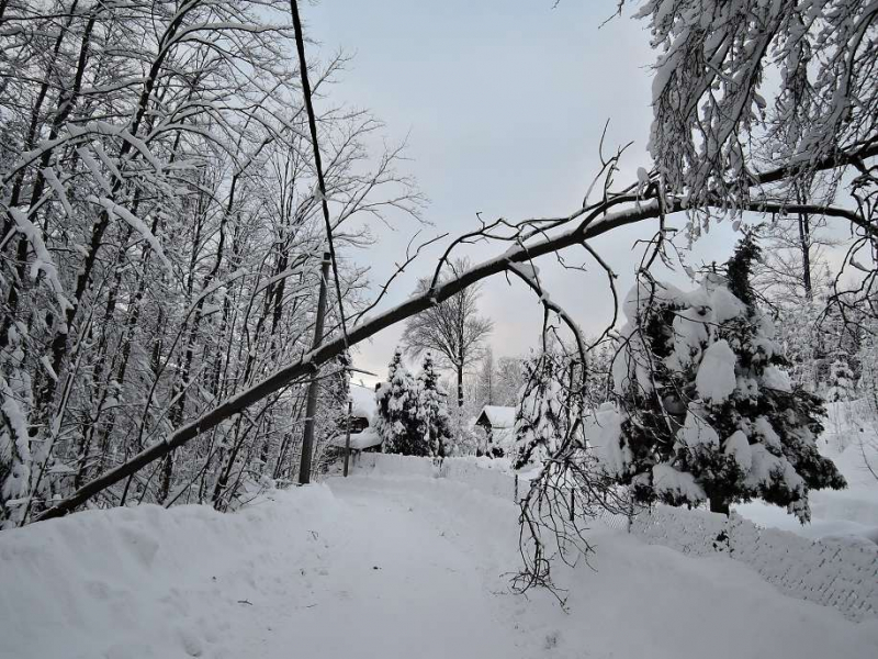 Spadlé stromy na silnice v Libereckém kraji<br />Autor: HZS Libereckého kraje Jablonec, Liberec, Semily