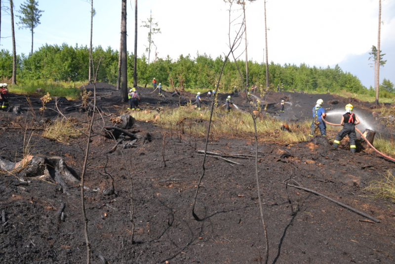 Rozsáhlý požár lesa v katastru obce Studenec<br />Autor: HZS Libereckého kraje, Václav Brožek