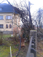 Škody po orkánu Sabine v západních Čechách