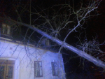 Pád stromu na dům v Raspenavě