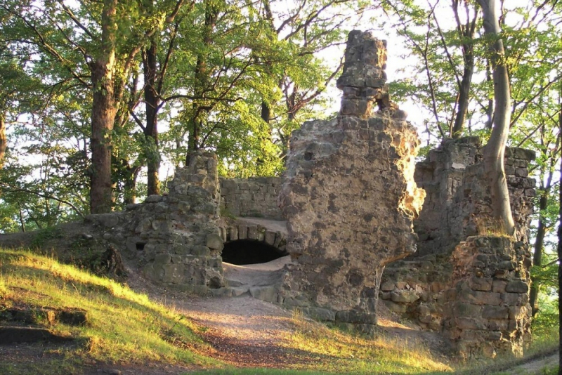 Trosky hradu Děvín v Ralské pahorkatině<br />Autor: Archiv KÚ Libereckého kraje