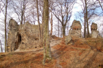 Trosky hradu Děvín v Ralské pahorkatině