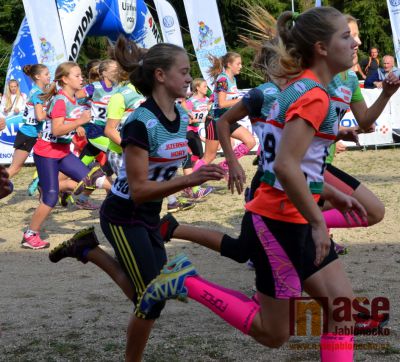 Obrazem: Téměř pět stovek lyžařů na Mšenském přespolním běhu