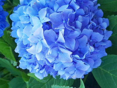 Kde nalézt v dnešní době klid? Mezi stromy a keři v arboretu