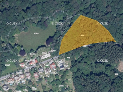 Do konce března probíhá těžba v lese na Šetřilovsku