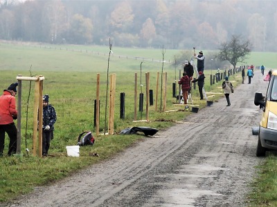 V rámci grantu Stromy putovaly vloni na sever Čech téměř dva miliony