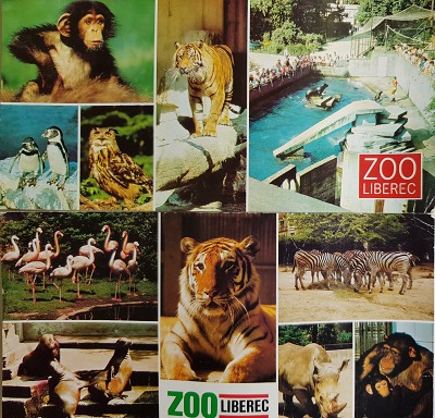 Historie liberecké zoo: od ptačí voliéry k bílým tygrům