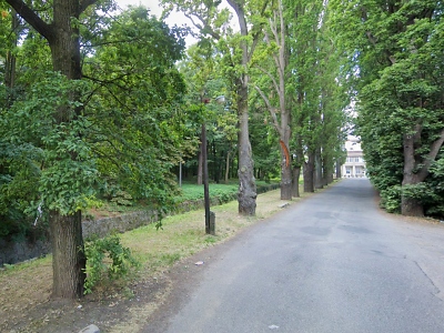 Ošetření aleje omezí provoz u Koňského trhu v Turnově