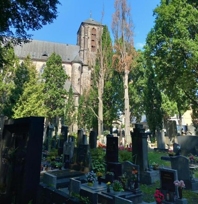 Na Mariánském hřbitově v Turnově proběhne kácení