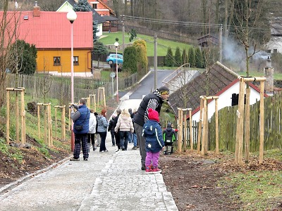Města a obce mohou v květnu žádat o grant na výsadbu stromů
