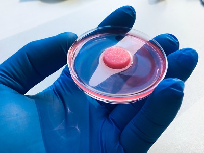 Umělý orgán brzlík může vrátit imunitu lidem s AIDS nebo leukémií