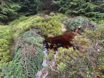 Vítězství KRNAP v Adapterra Awards pomáhá dalšímu zadržování vody