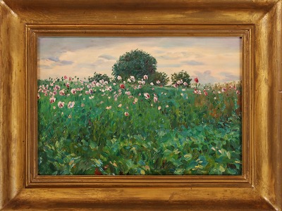 Kaván míří do světa