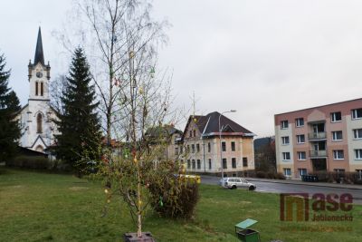 Kuriozita od sousedů: V Josefově Dole vyrostl strom plný jaternic a vajec