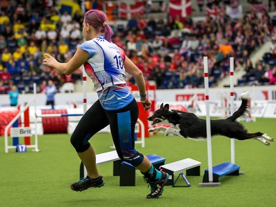 Na Mistrovství světa v agility do Liberce dorazí tisíce závodníků i fandů