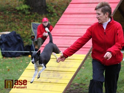 Na lomnickém hřišti pořádali dvojzkoušky agility