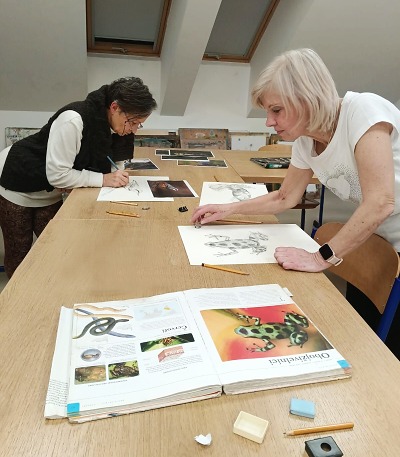 Semilští senioři se vrátili do lavic