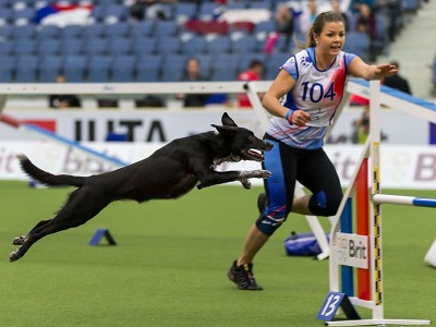 Liberec zná Mistry světa v agility. A Češi mají opět medaile