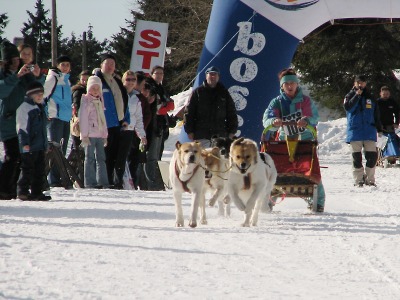 Na polské straně Krkonoš i v Zásadě budou v lednu závodit musheři