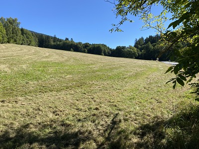 KRNAP vykoupil pozemky v Černém Dole, aby zabránil stavbě komplexu