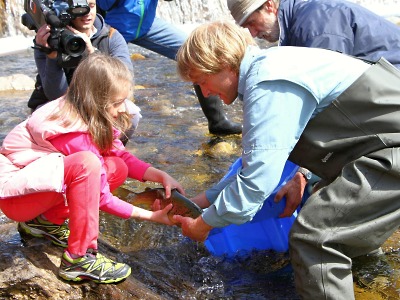 Obrazem: Jakub Vágner a spol. vypouštěli pstruhy do řeky Labe