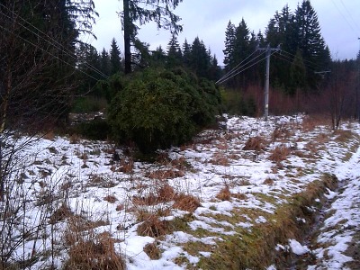 Přichází studená fronta a bouřky, ve vyšších polohách hrozí sněžení