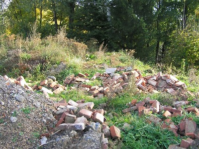 Inspektoři z ČIŽP provedli vloni 867 kontrol a uložili 95 pokut