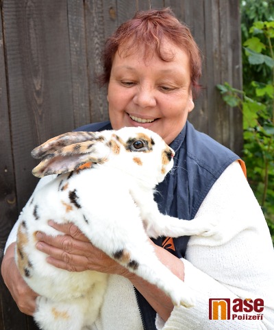 Chovatelé se pochlubili na výstavě v Turnově speciálními plemeny