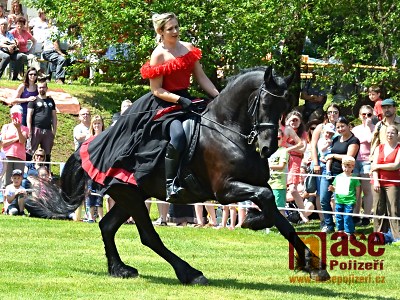 Obrazem: 15. ročník Krajského dne koně v Lomnici nad Popelkou
