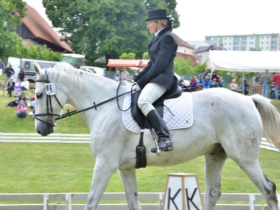 Do Lomnice se v sobotu sjedou příznivci koní