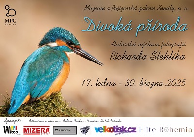 Výstava Divoká příroda seznámí s fotografiemi Richarda Stehlíka