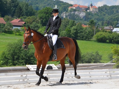 Na dohled zámku Hrubá Skála probíhaly opět drezurní závody