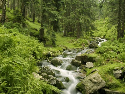 Film Libora Špačka o krkonošské přírodě získal cenu v Portugalsku