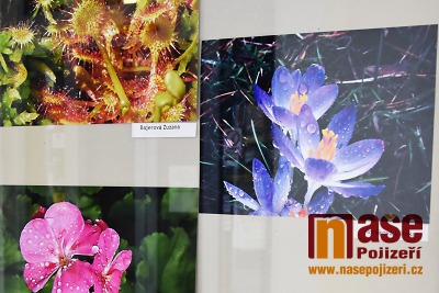 V chodbě turnovského nádraží probíhala výstava mladých fotografů