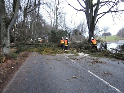 Od víkendu hasiči odstraňují kvůli větru spadané stromy