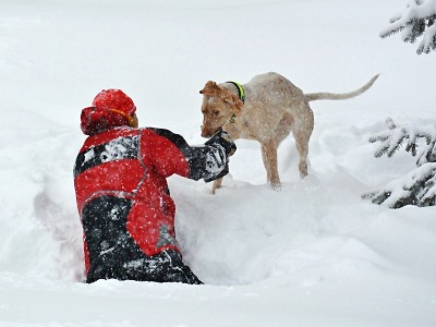 Hasičští kynologové absolvovali výcvik ve sněhu na hřebenech Krkonoš